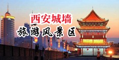 美女逼被操的好爽中国陕西-西安城墙旅游风景区